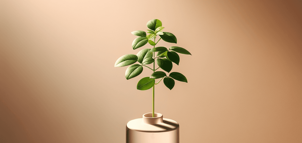 Survive and Thrive in the Tech Industry: Diverse Paths