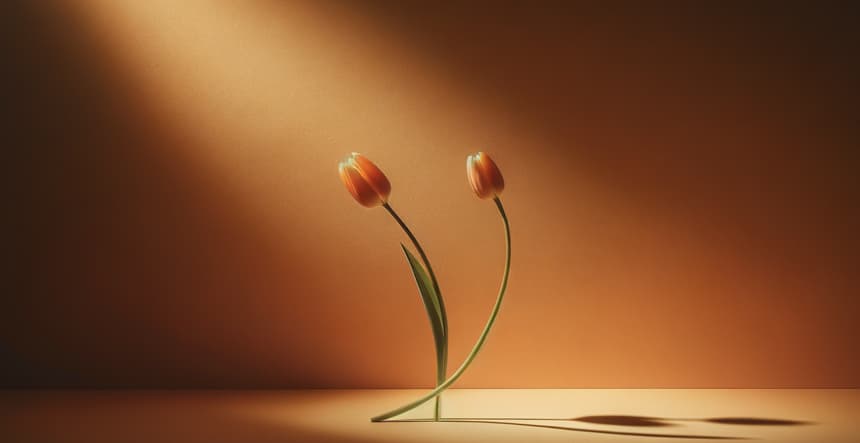 The Art of Management: Let Her Grow and Glow